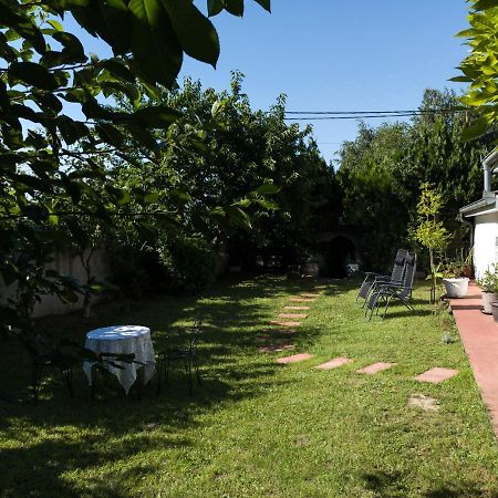 Apartman Dvoristance Golubăţ Exterior foto