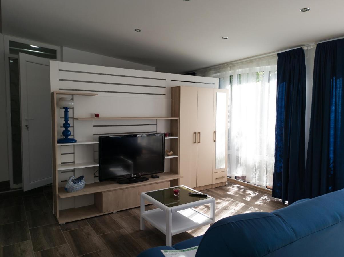 Apartman Dvoristance Golubăţ Exterior foto